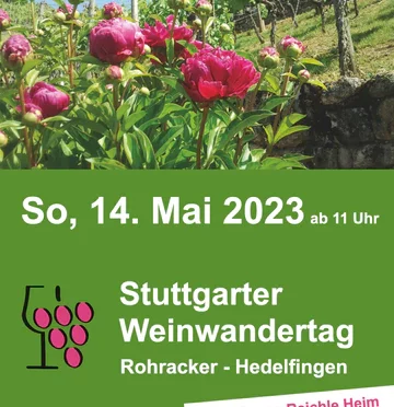 Weinwandertag Rohracker-Hedelfingen am 14.5.2023