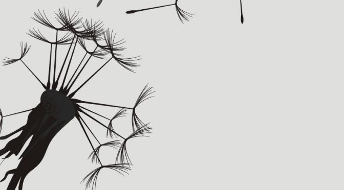 Gründung eines neuen Bündnis nach Friedensandacht am So 9.11.2025 – 17 Uhr – Gartenstadtkirche